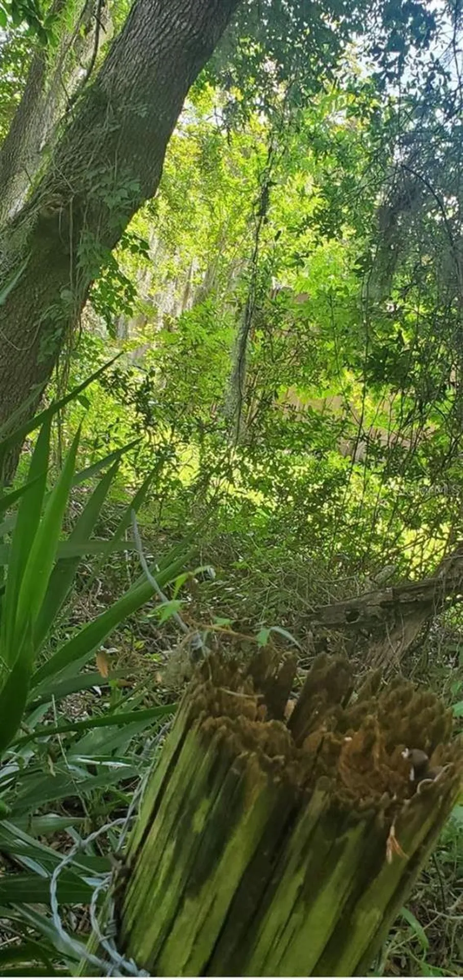 00 W Highway 40 Dunnellon FL 34431