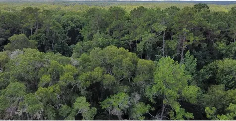 00 W Highway 40 Dunnellon FL 34431