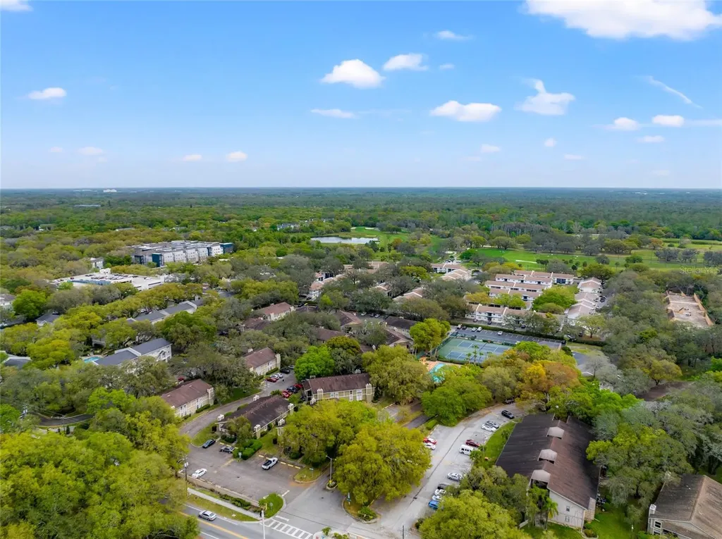 14323 Hanging Moss Circle Tampa FL 33613