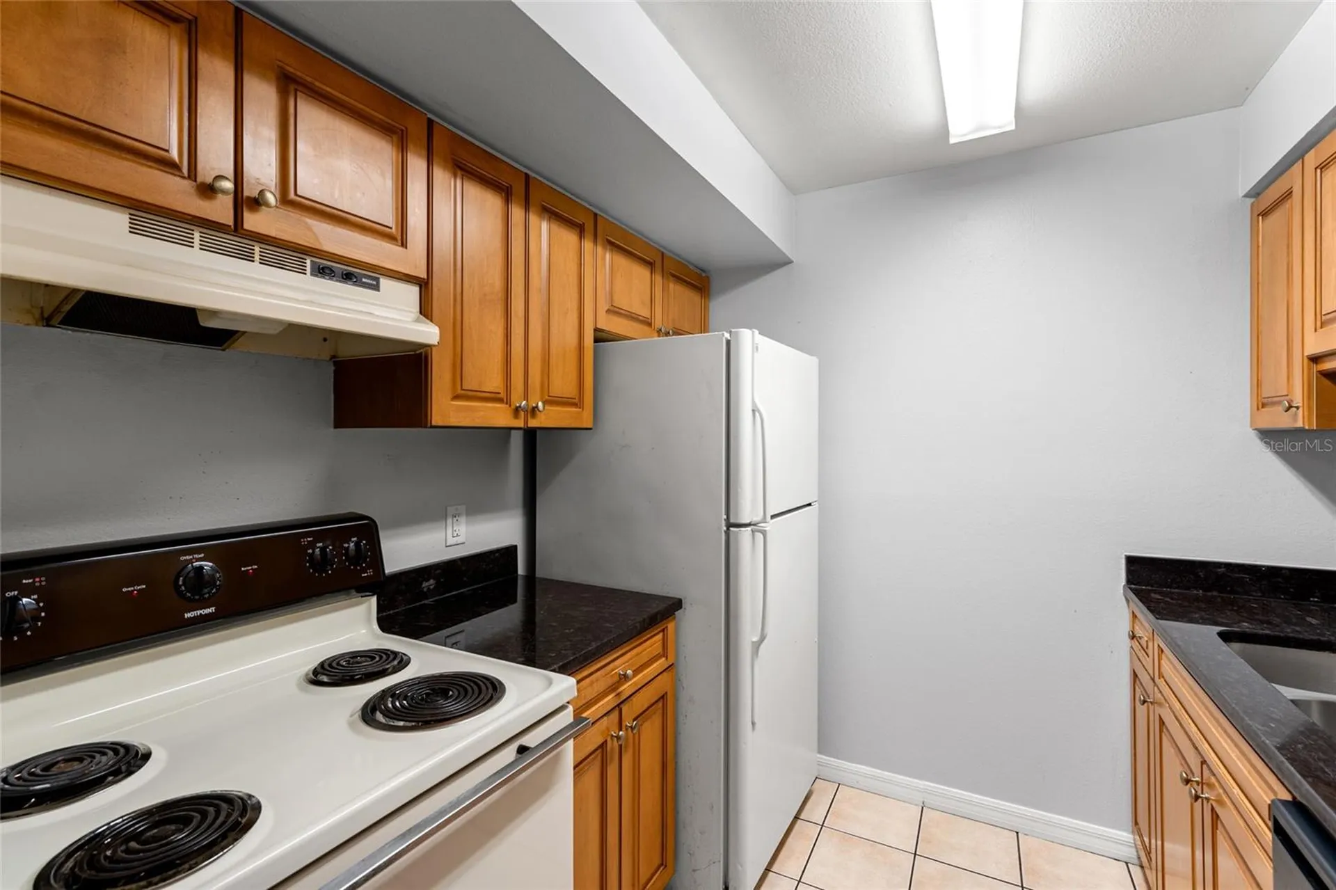 14323 Hanging Moss Circle Tampa FL 33613
