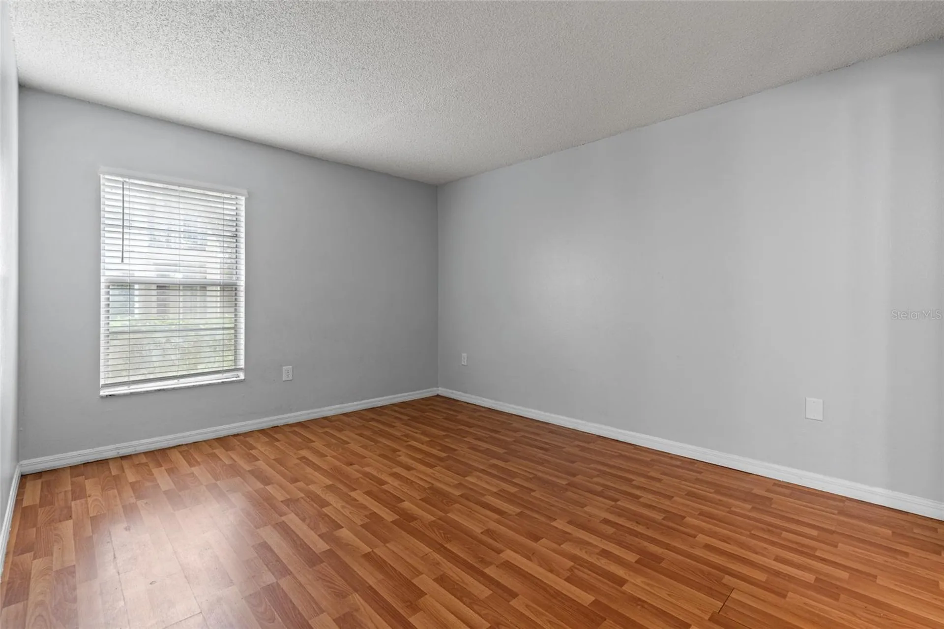 14323 Hanging Moss Circle Tampa FL 33613