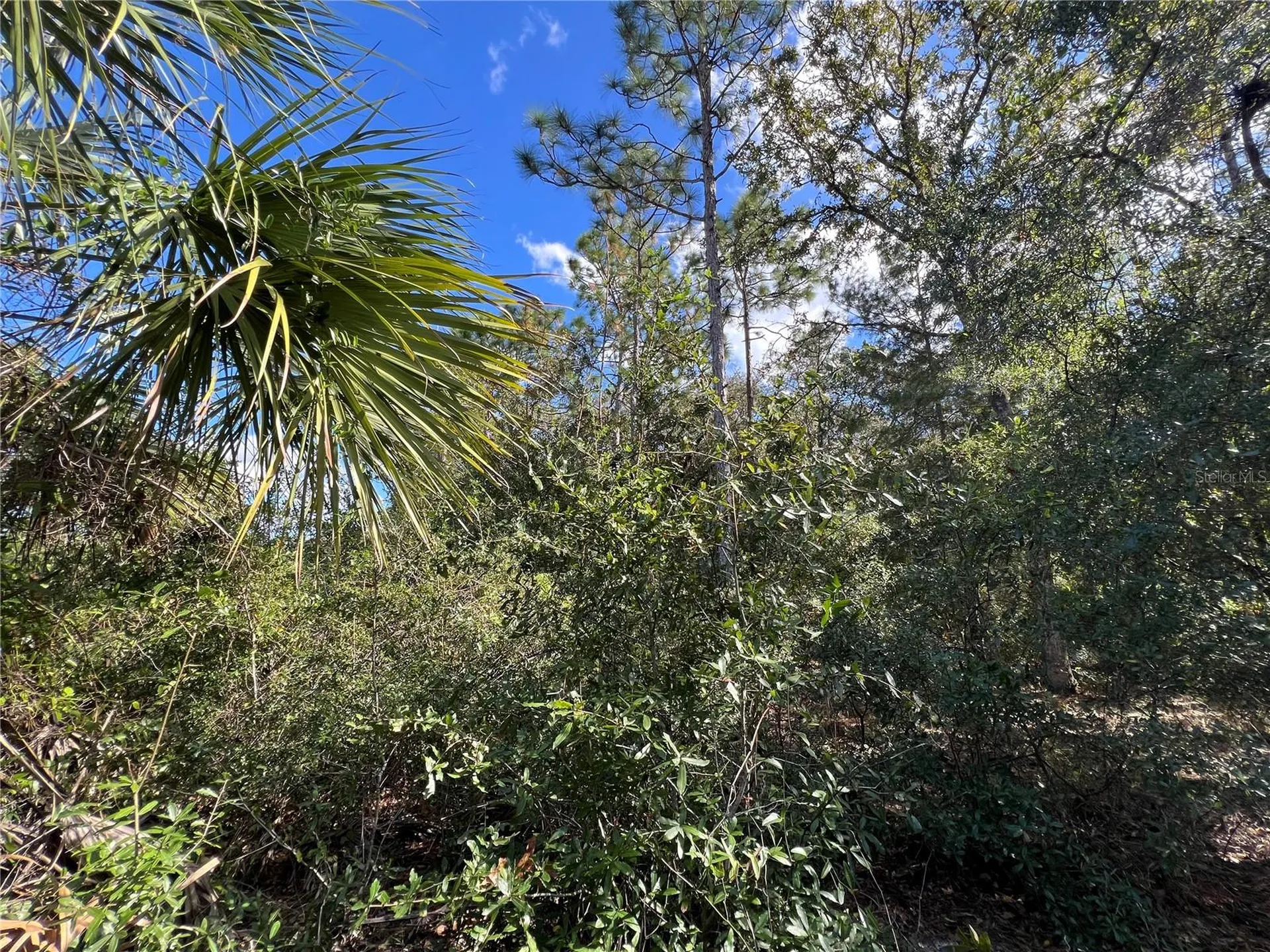 5650 W Kettle Lane Crystal River FL 34429
