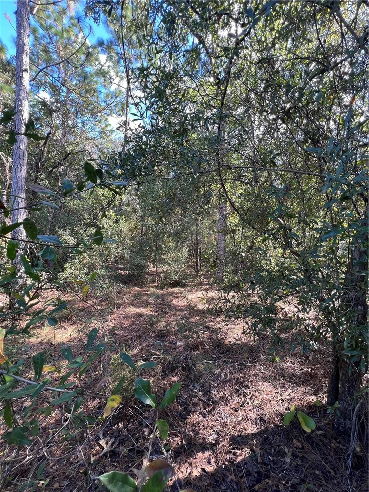 5650 W Kettle Lane Crystal River FL 34429