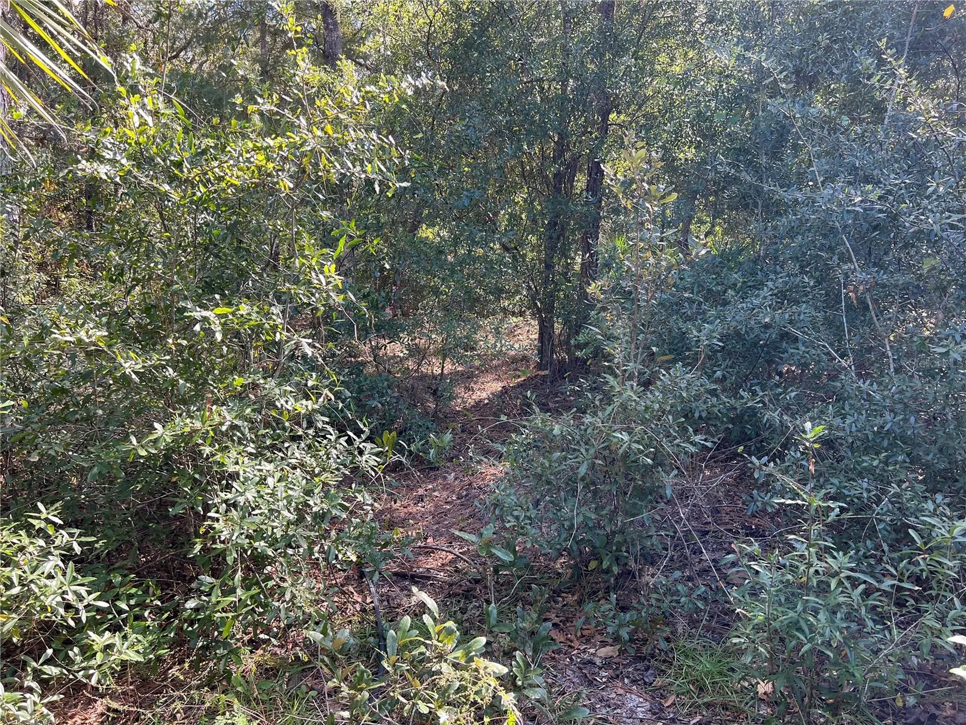 5650 W Kettle Lane Crystal River FL 34429