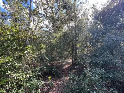 5650 W Kettle Lane Crystal River FL 34429