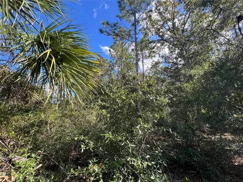 5650 W Kettle Lane Crystal River FL 34429