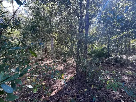 5650 W Kettle Lane Crystal River FL 34429