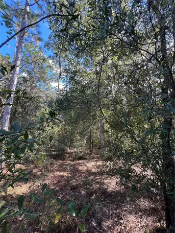 5650 W Kettle Lane Crystal River FL 34429