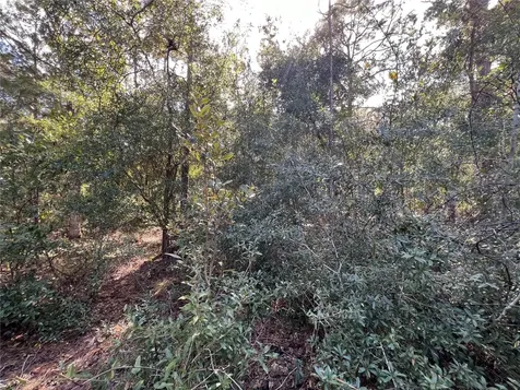 5650 W Kettle Lane Crystal River FL 34429