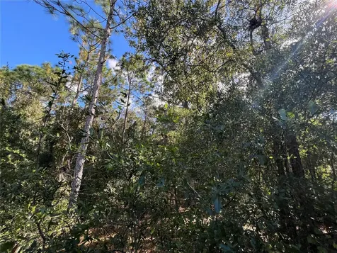 5650 W Kettle Lane Crystal River FL 34429