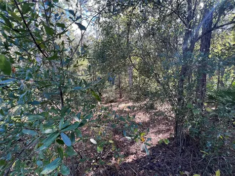 5650 W Kettle Lane Crystal River FL 34429