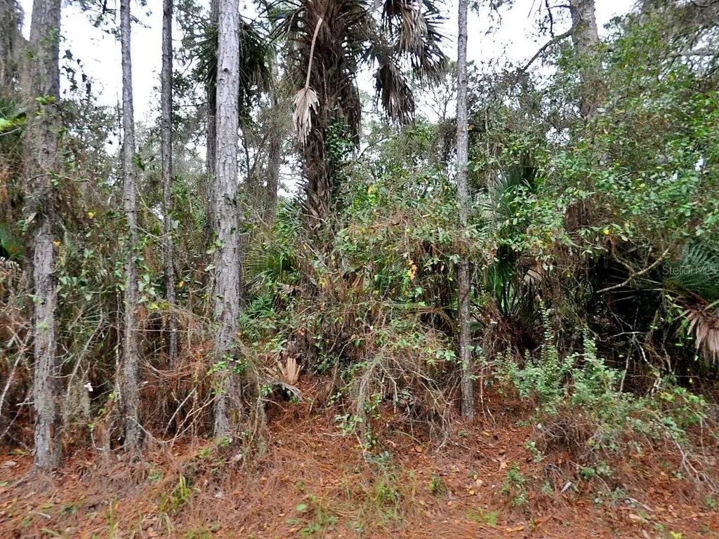 Camel Avenue North Port FL 34287