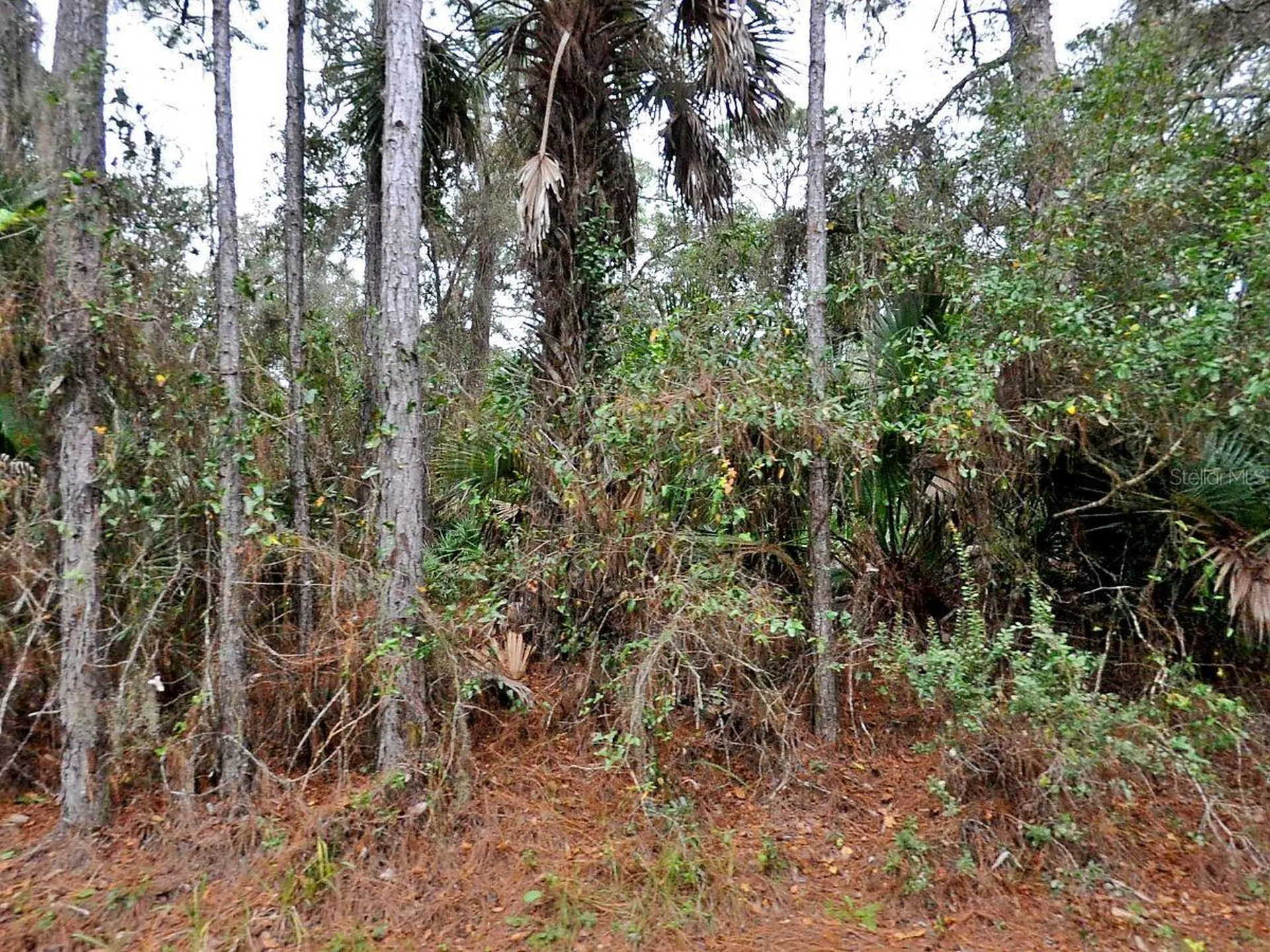 Camel Avenue North Port FL 34287
