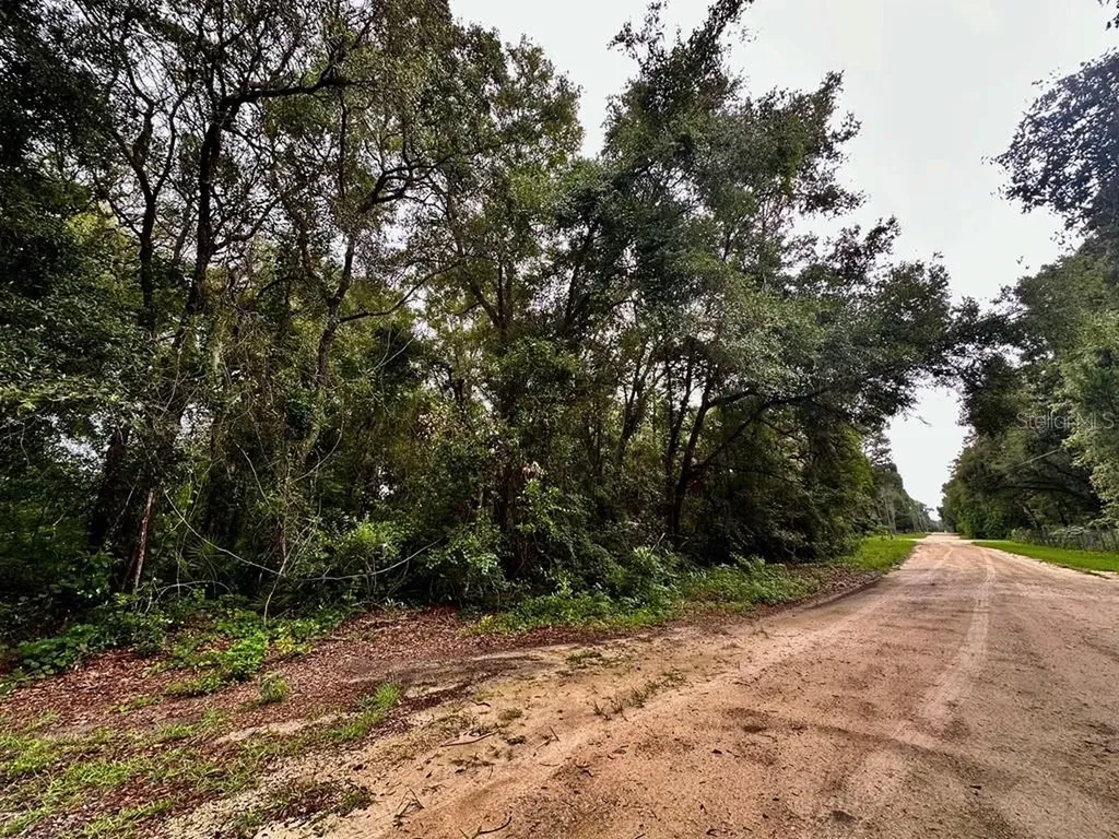 NW 76th Terrace Chiefland FL 32626