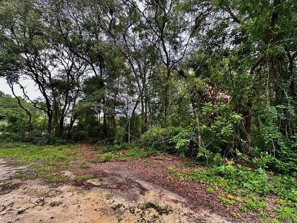 NW 76th Terrace Chiefland FL 32626