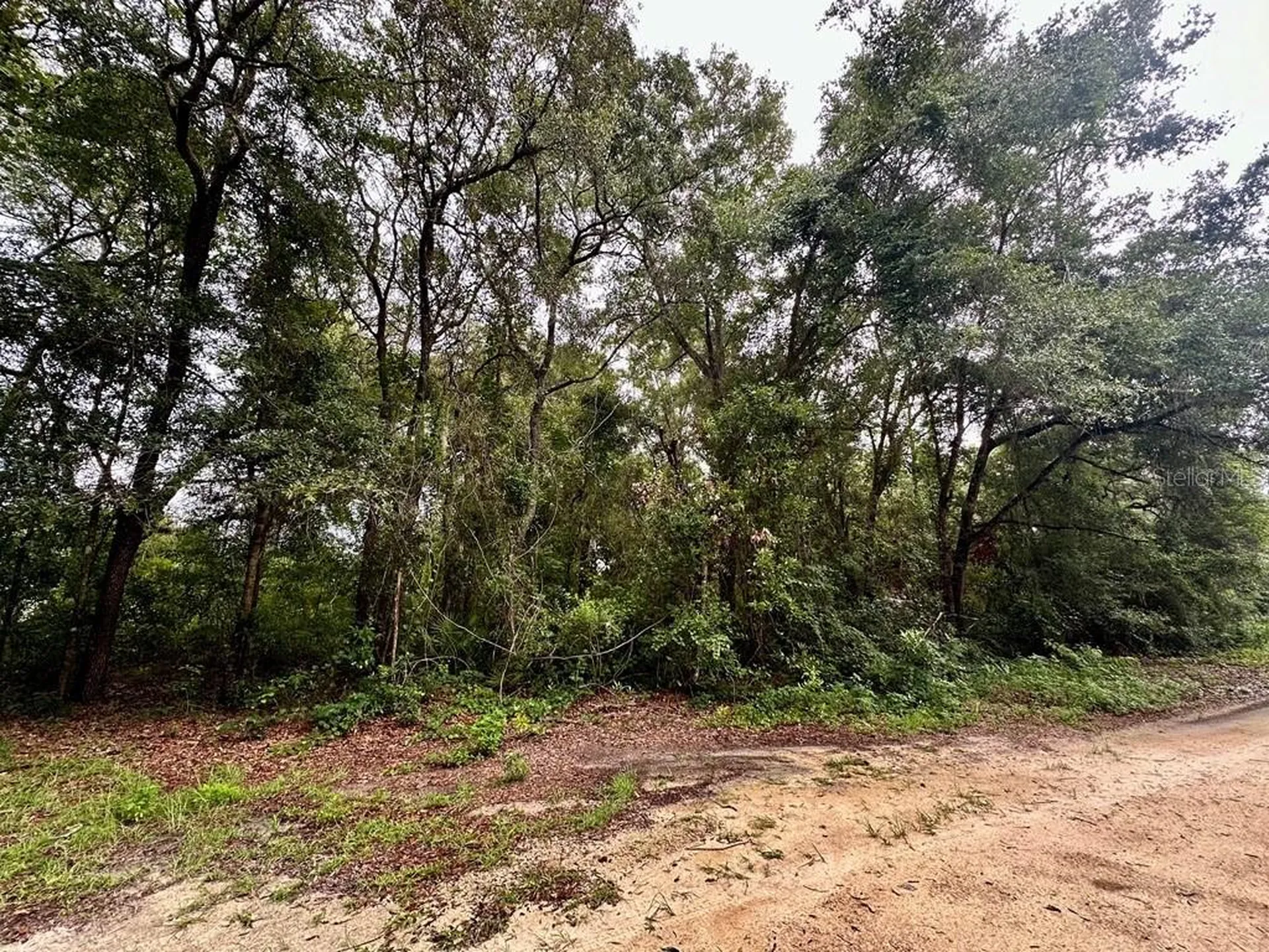 NW 76th Terrace Chiefland FL 32626