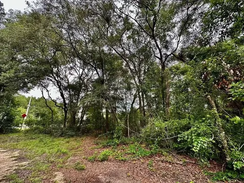 NW 76th Terrace Chiefland FL 32626