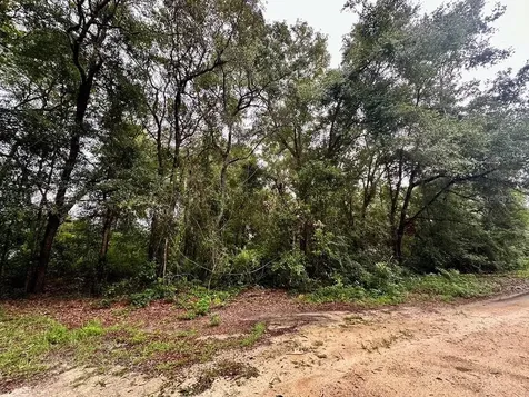 NW 76th Terrace Chiefland FL 32626