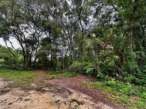 NW 76th Terrace Chiefland FL 32626