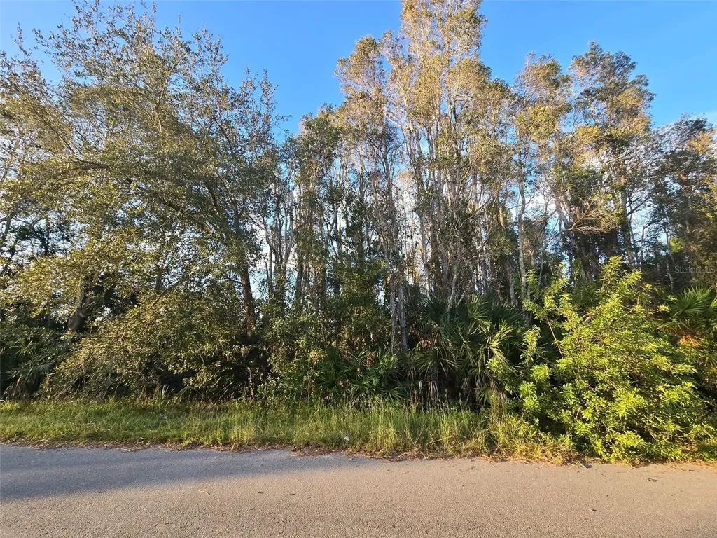 3402 39th Street SW Lehigh Acres FL 33976