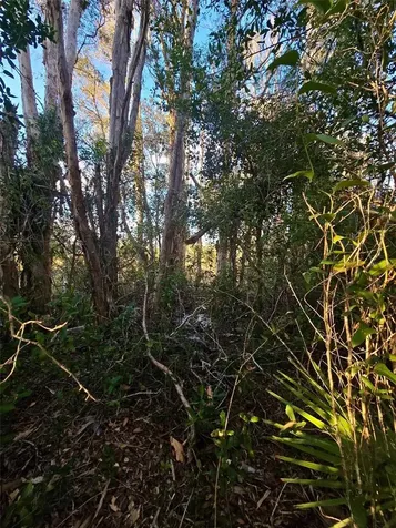 3402 39th Street SW Lehigh Acres FL 33976