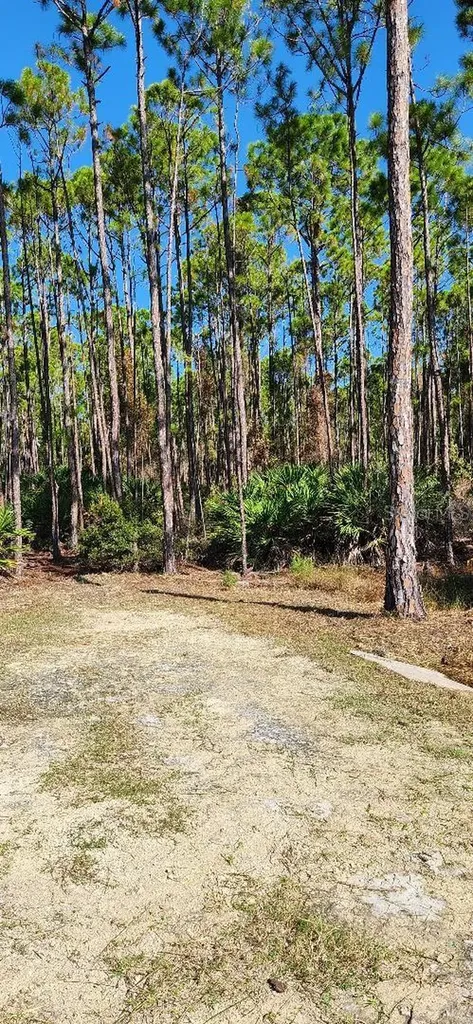 Lot 8 SW 104 Street Cedar Key FL 32625