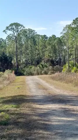 Lot 8 SW 104 Street Cedar Key FL 32625