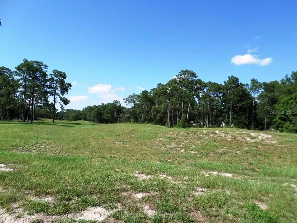 8518 SW 189th Court Road Dunnellon FL 34432