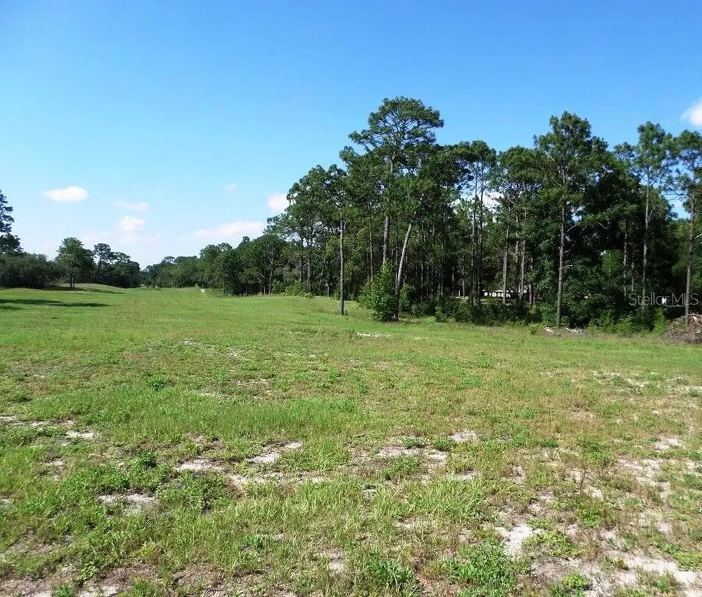 8518 SW 189th Court Road Dunnellon FL 34432