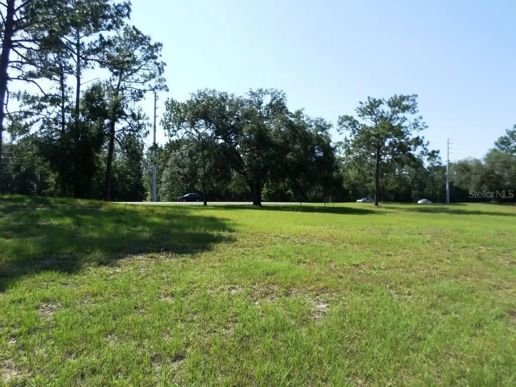 8518 SW 189th Court Road Dunnellon FL 34432