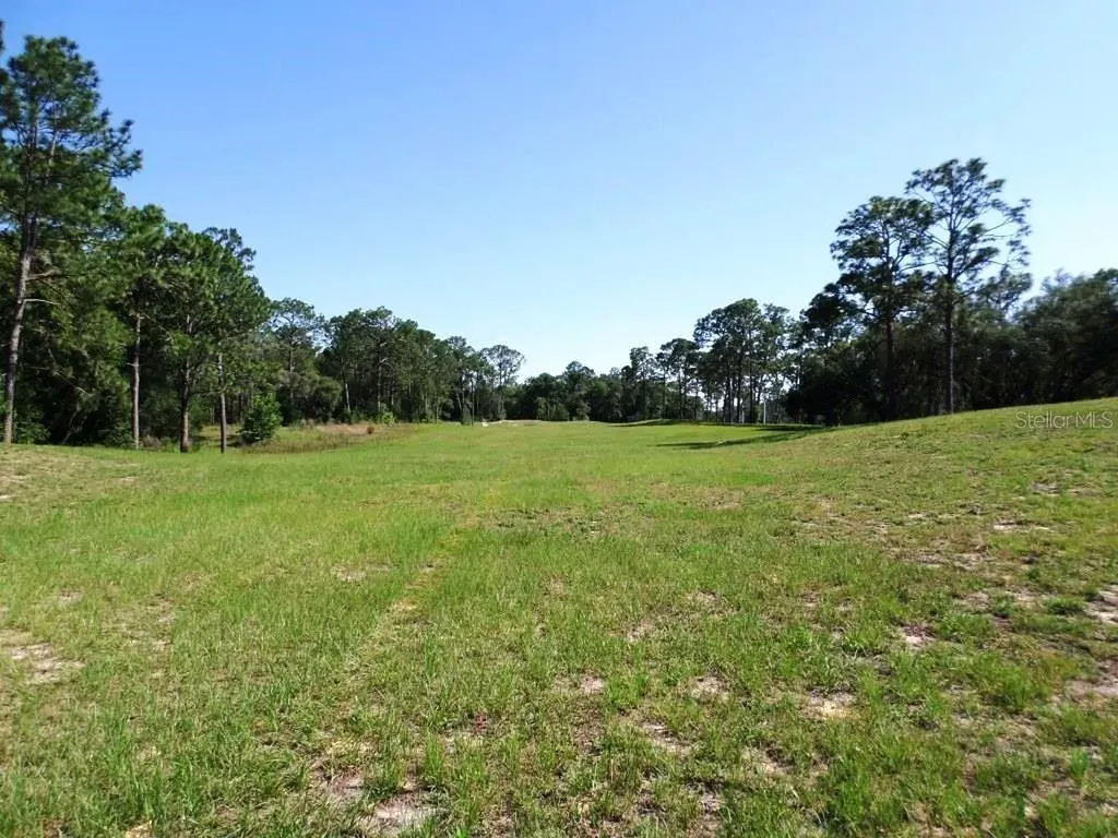 8518 SW 189th Court Road Dunnellon FL 34432