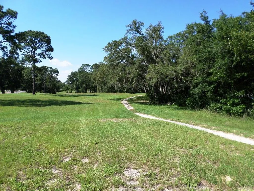 8518 SW 189th Court Road Dunnellon FL 34432
