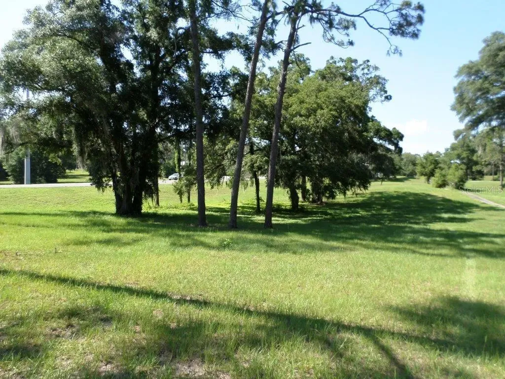 8518 SW 189th Court Road Dunnellon FL 34432