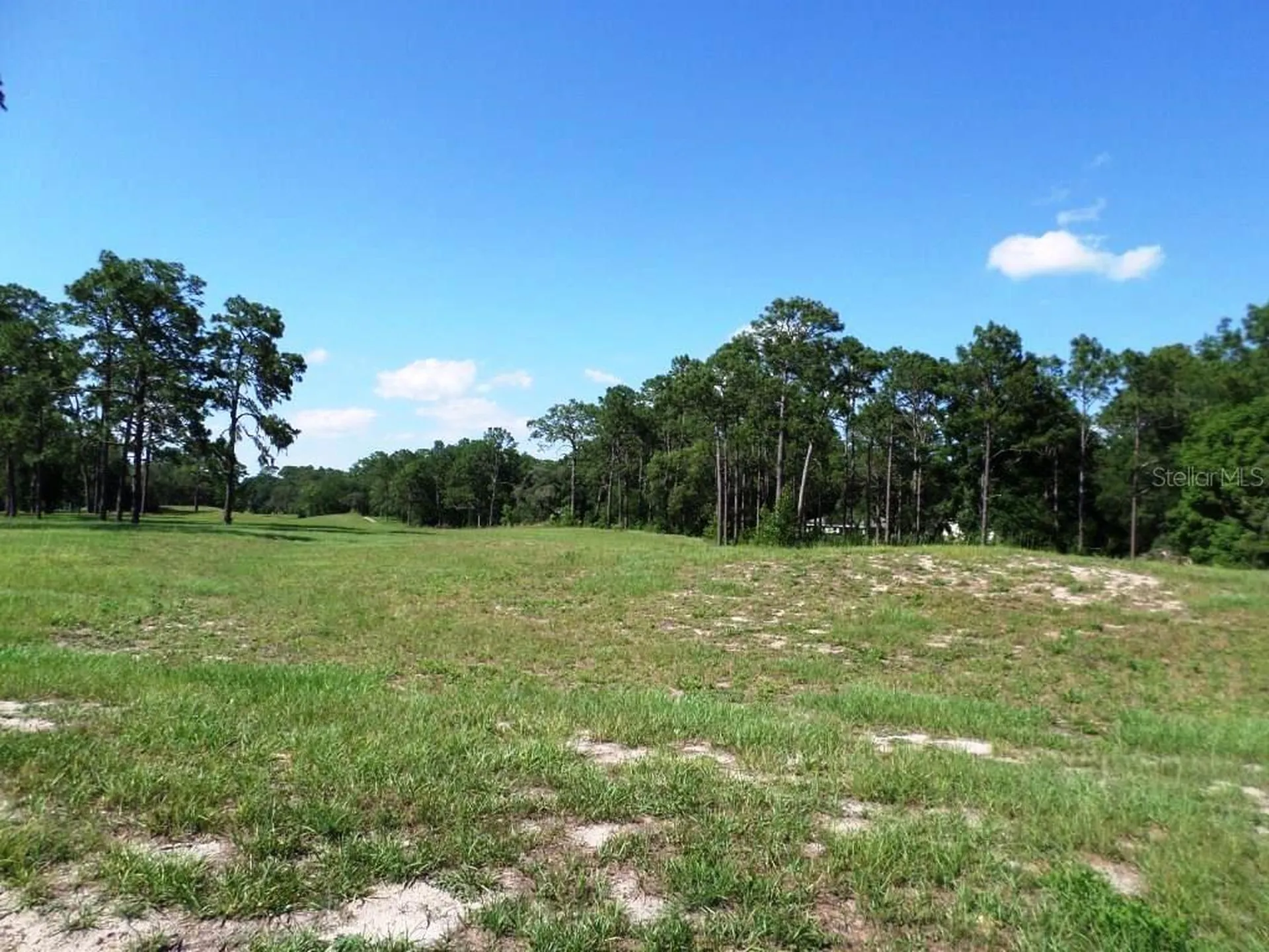 8518 SW 189th Court Road Dunnellon FL 34432