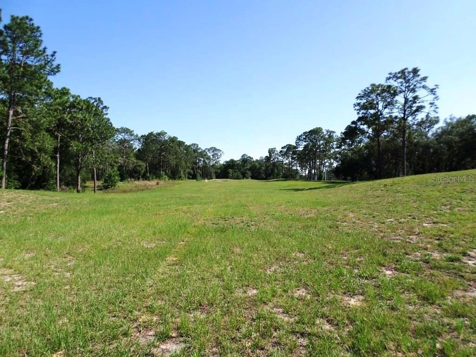 8518 SW 189th Court Road Dunnellon FL 34432