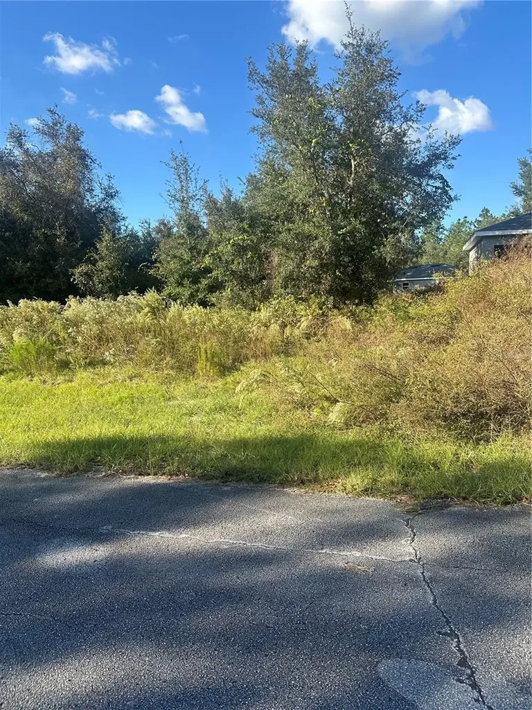 Undetermined Circle Dunnellon FL 34432