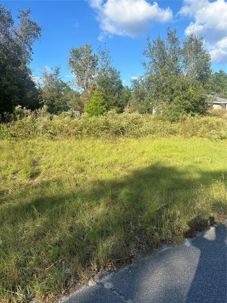 Undetermined Circle Dunnellon FL 34432