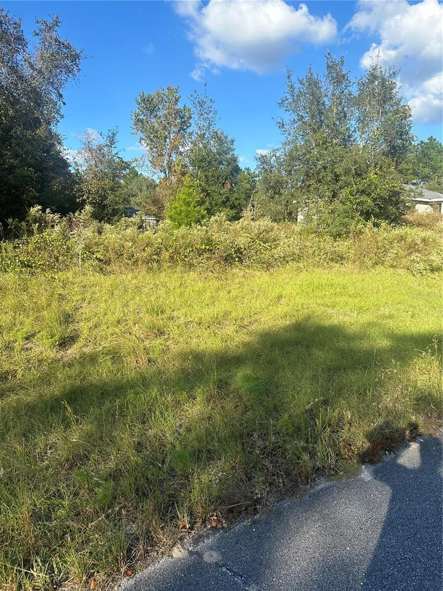 Undetermined Circle Dunnellon FL 34432