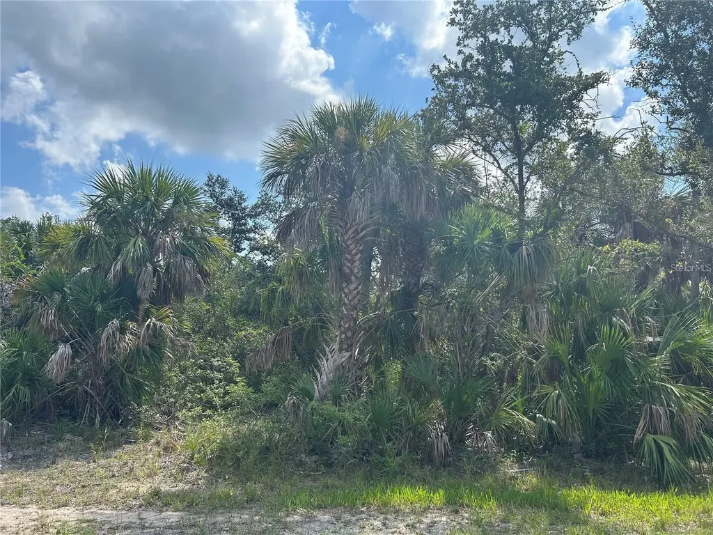 3288 Monarch Street Port Charlotte FL 33948