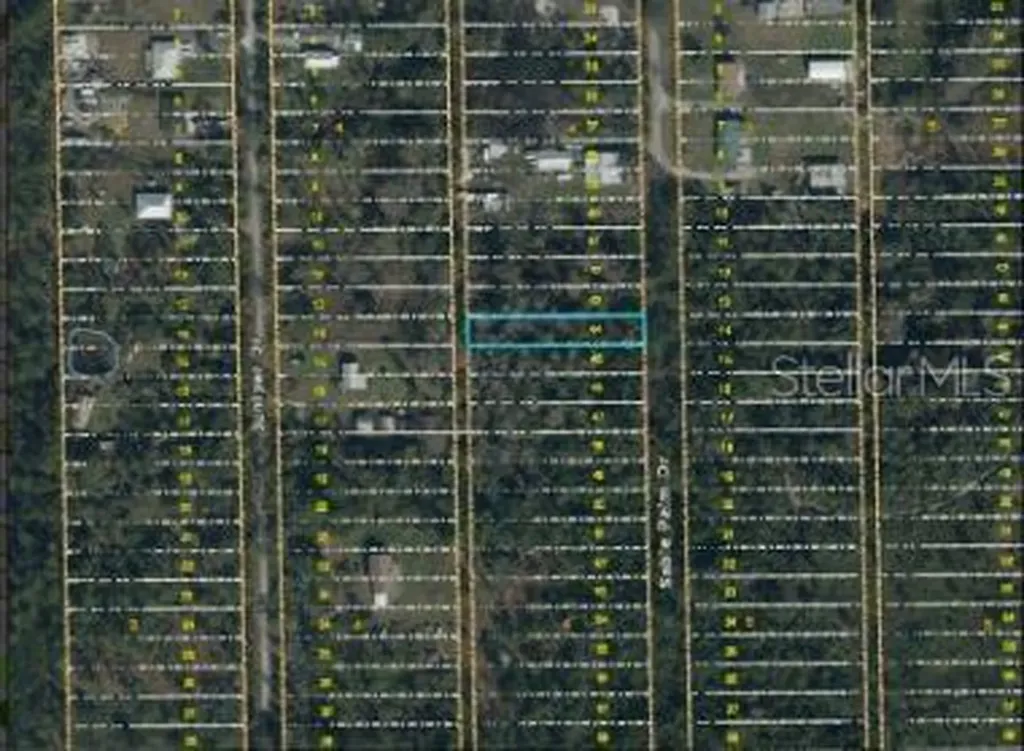 1020 Sable Palm Drive Christmas FL 32709