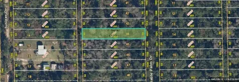 1020 Sable Palm Drive Christmas FL 32709