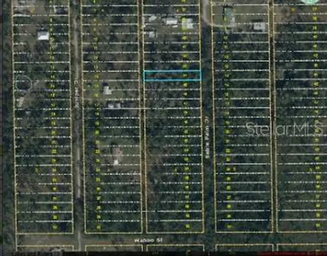 1020 Sable Palm Drive Christmas FL 32709