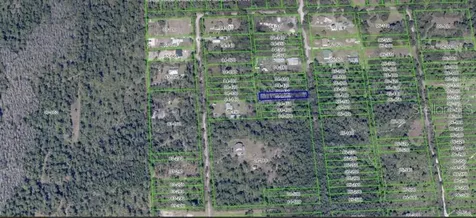 1020 Sable Palm Drive Christmas FL 32709