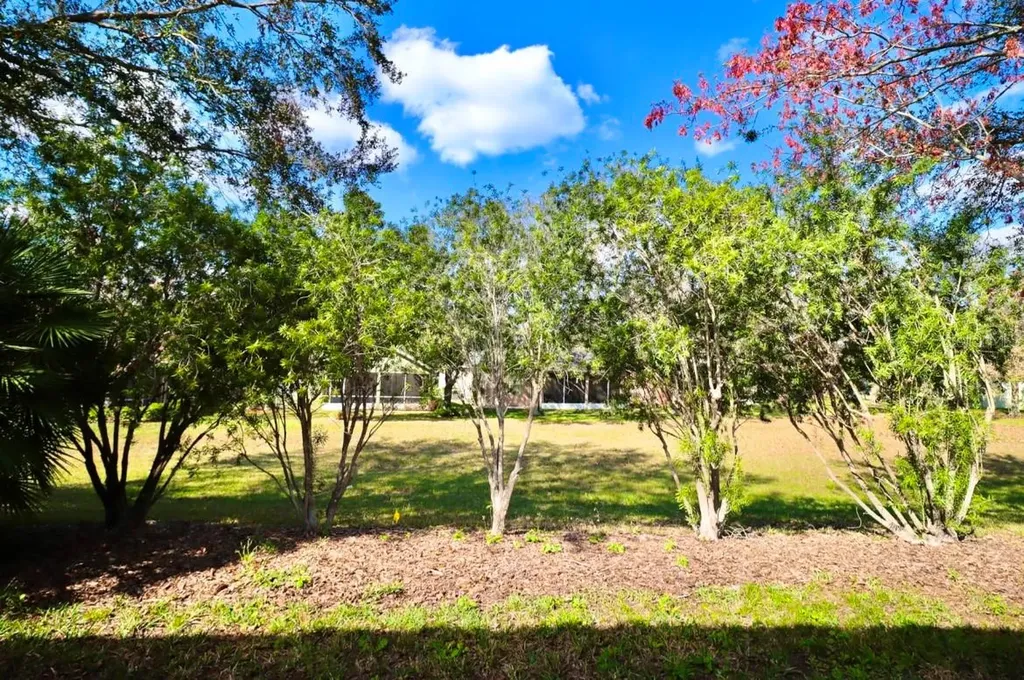 119 Crescent Moon Drive Groveland FL 34736