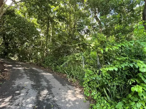 Carr 347 Km 1.6 Bo Sabana Grande Abajo San German PR 00683