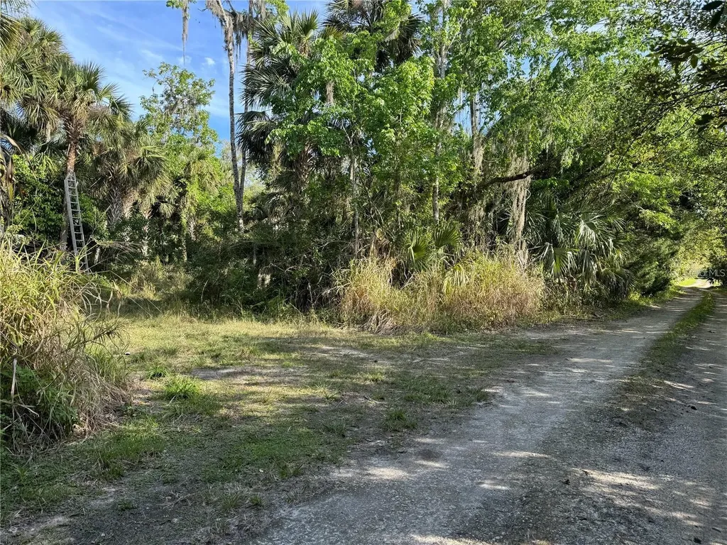 Orange St/sec 1 Oviedo FL 32765