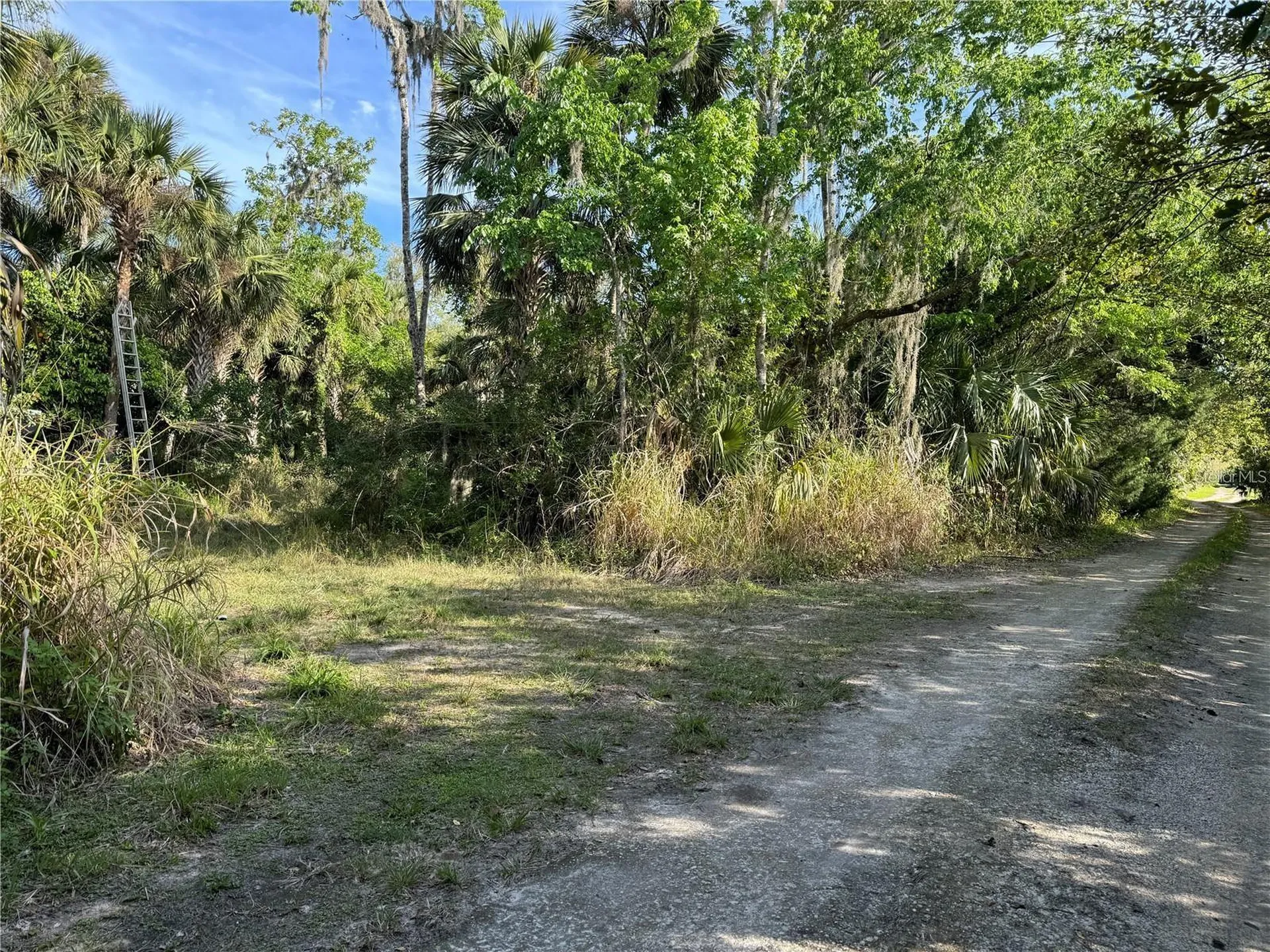 Orange St/sec 1 Oviedo FL 32765