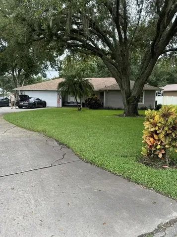 22218 Laver Lane Land O Lakes FL 34639