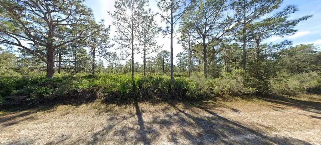 919 Laguna Drive Indian Lake Estates FL 33855