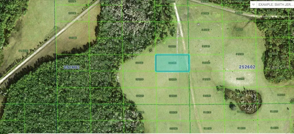 Deen Still Road Polk City FL 33868